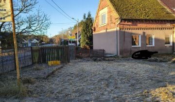 bliźniak Trzeszczyn