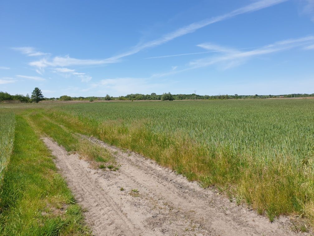 Działka rolno-budowlana Ostrów Wielkopolski. Zdjęcie 3