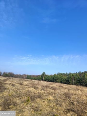 Działka rolno-budowlana Olszewnica Nowa, ul. Spacerowa. Zdjęcie 5