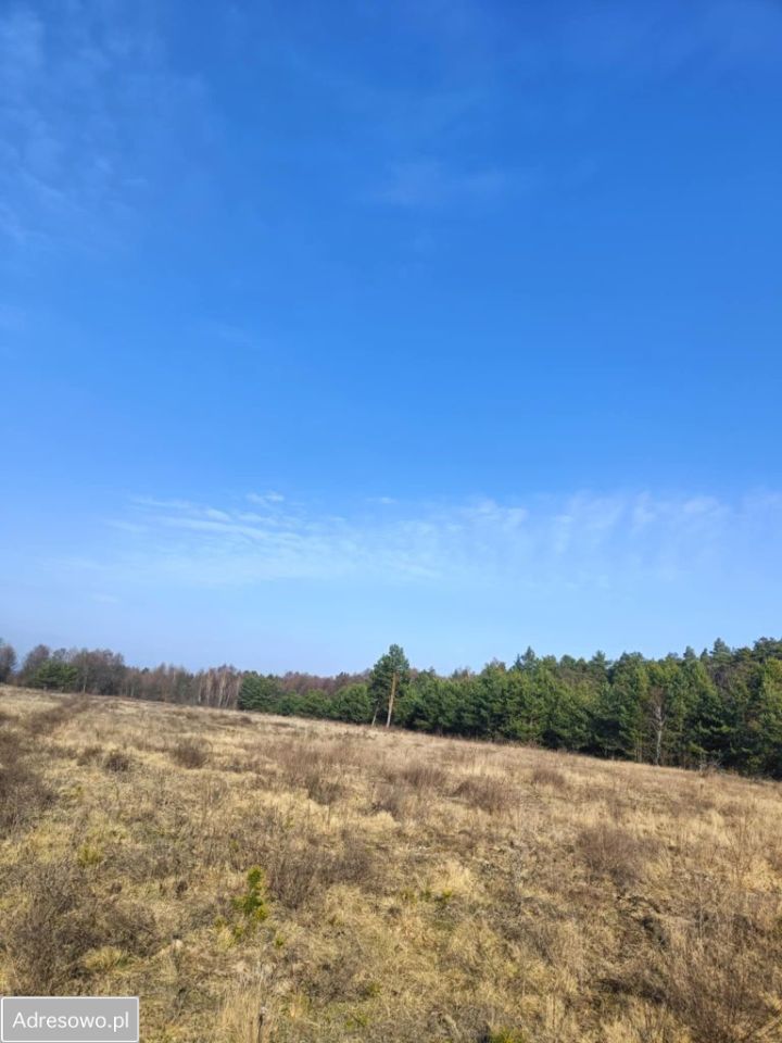 Działka rolna Olszewnica Nowa, ul. Spacerowa. Zdjęcie 8