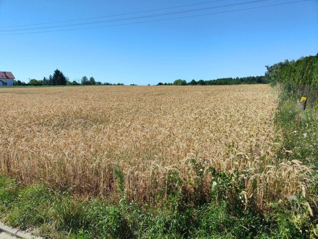 Działka budowlana Dąbrowa Tarnowska. Zdjęcie 1