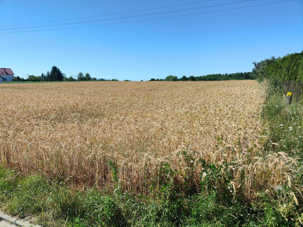 Działka budowlana Dąbrowa Tarnowska