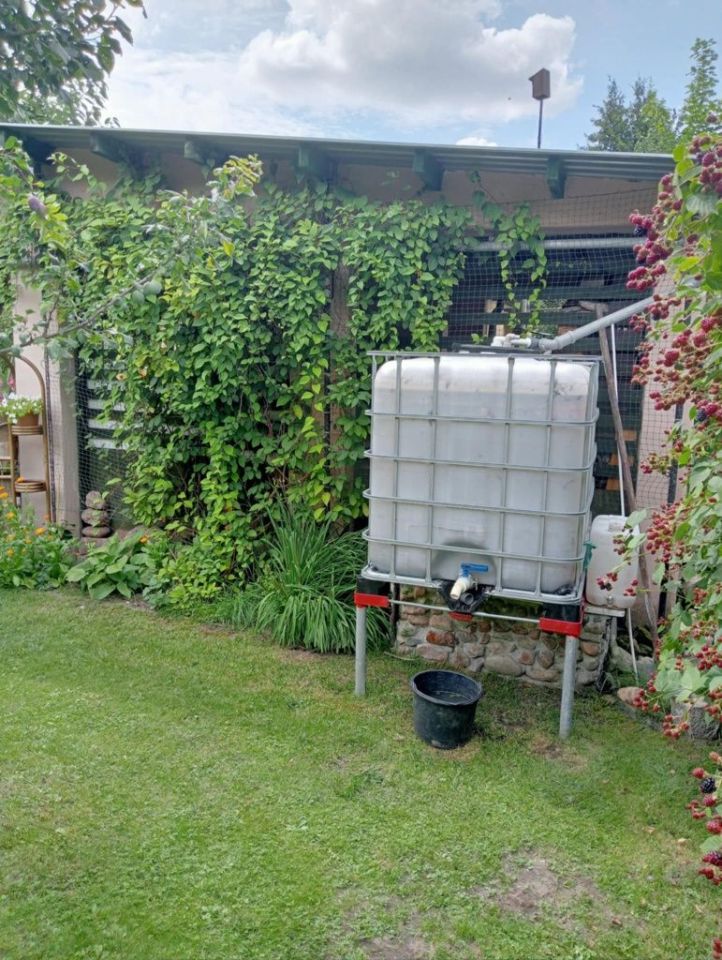 Działka rod Zielona Góra, ul. Stanisława Wyspiańskiego. Zdjęcie 5