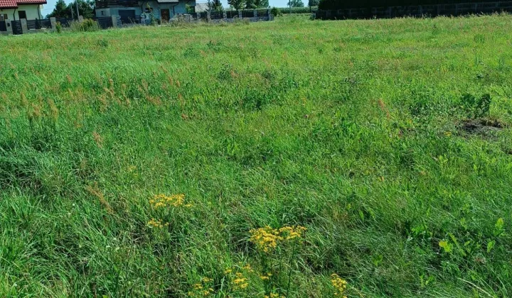 Działka budowlana Elżbiecin