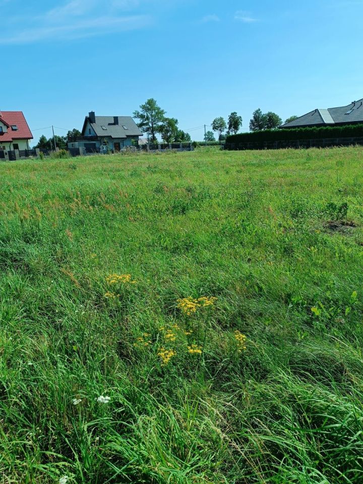 Działka budowlana Elżbiecin