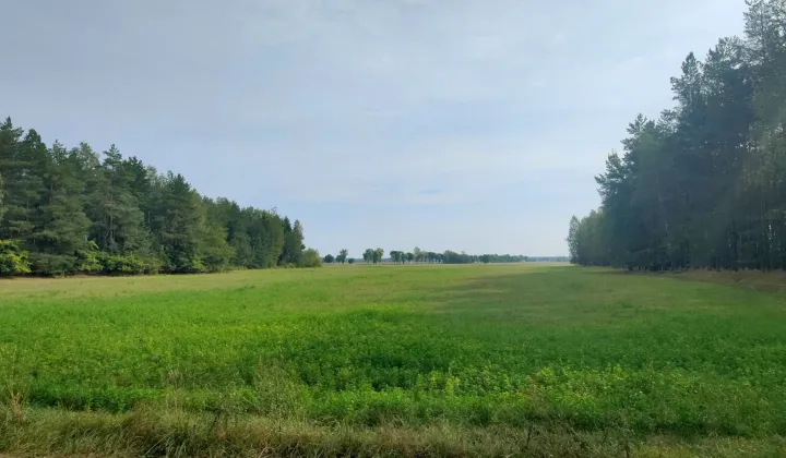 Działka budowlana Olszyny