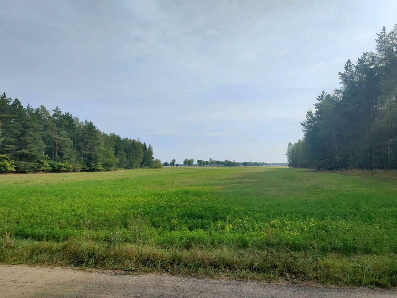 Działka budowlana Olszyny