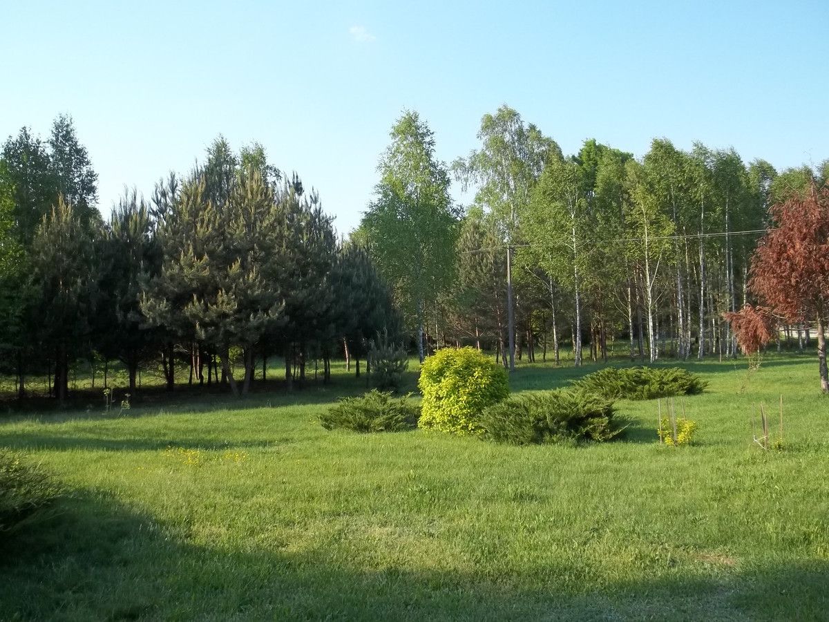 Działka rekreacyjna Budy Grabskie. Zdjęcie 4