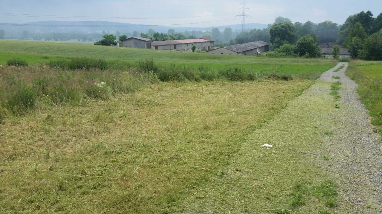 Działka rolna Radwanowice. Zdjęcie 8