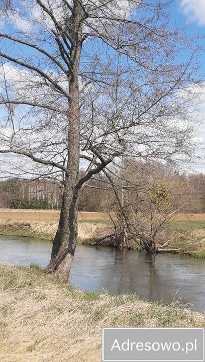 Działka rolna Brzóza. Zdjęcie 2