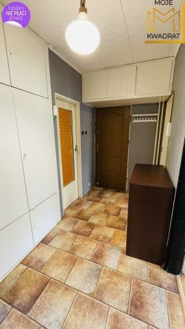 Mieszkanie 3-pokojowe Bełchatów. Zdjęcie 9