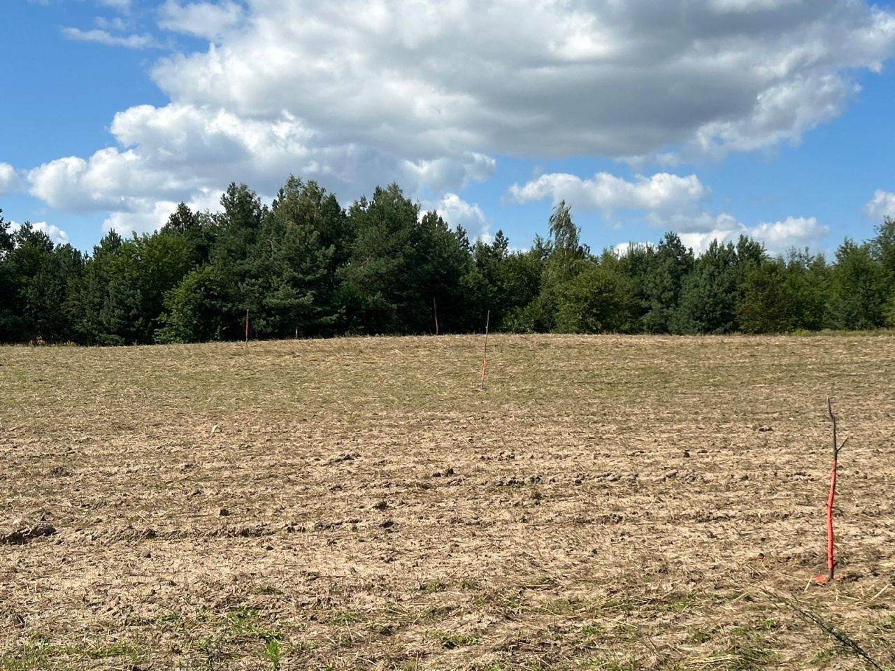 Działka budowlana Pokrzywnik. Zdjęcie 9