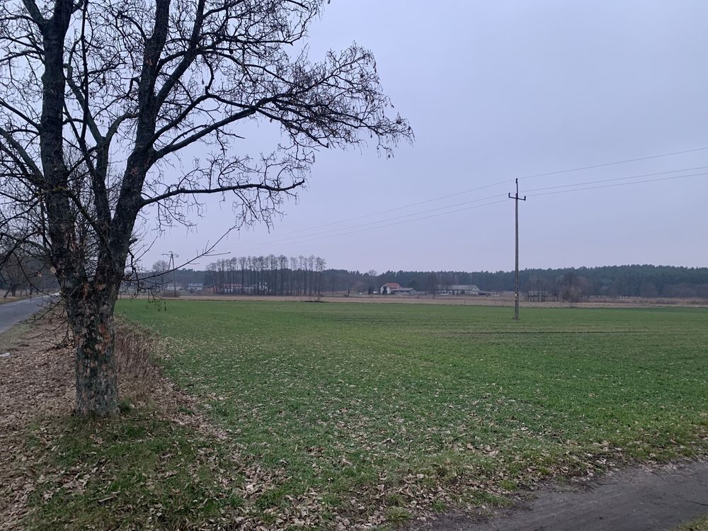 Działka rolno-budowlana Leontynów. Zdjęcie 3