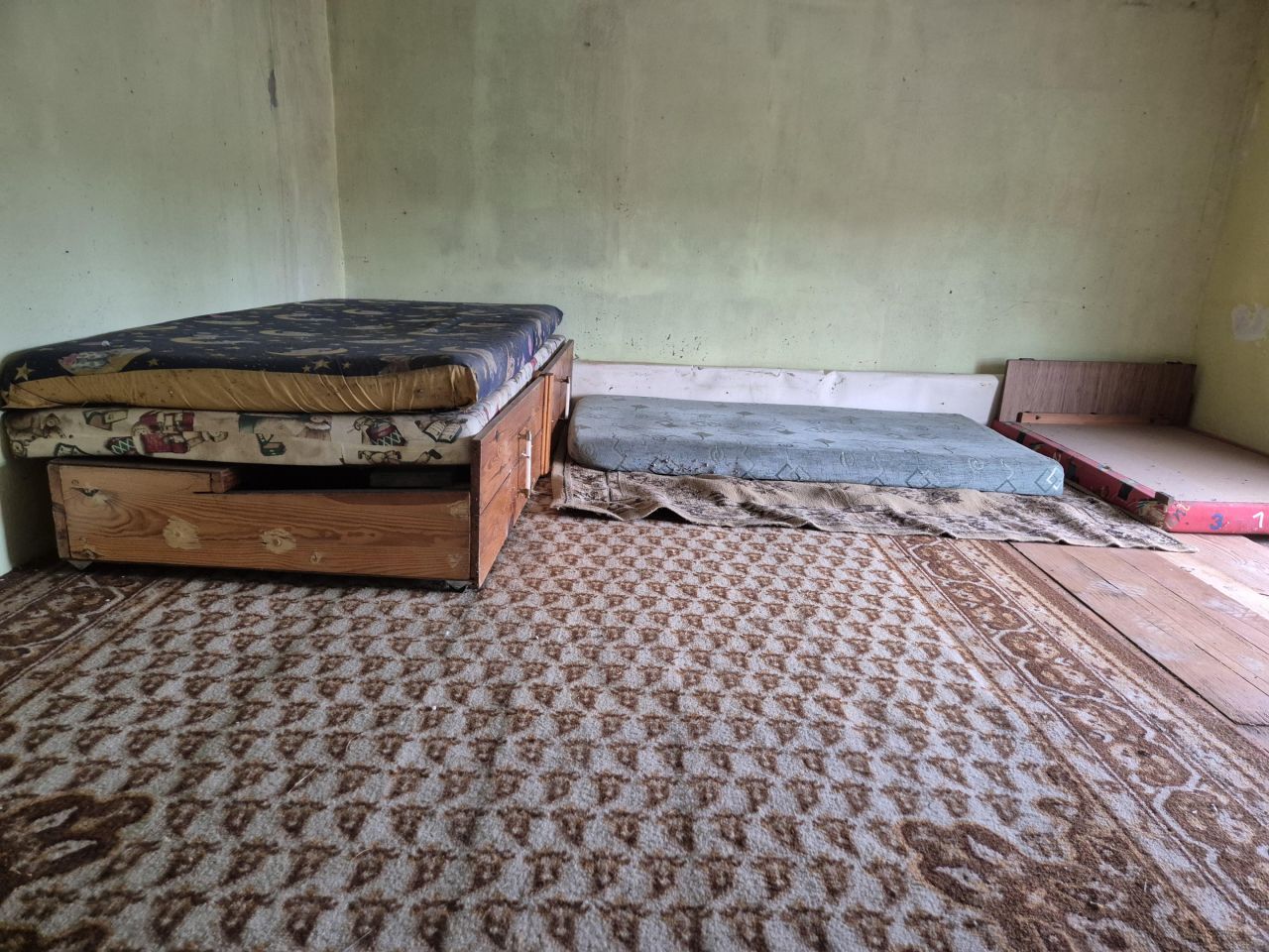 Działka rekreacyjna Żary, ul. Henryka Wieniawskiego. Zdjęcie 9