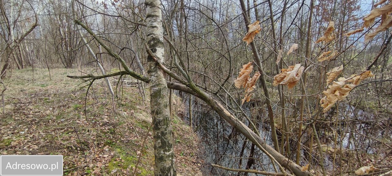 Działka budowlana Łukawka. Zdjęcie 3