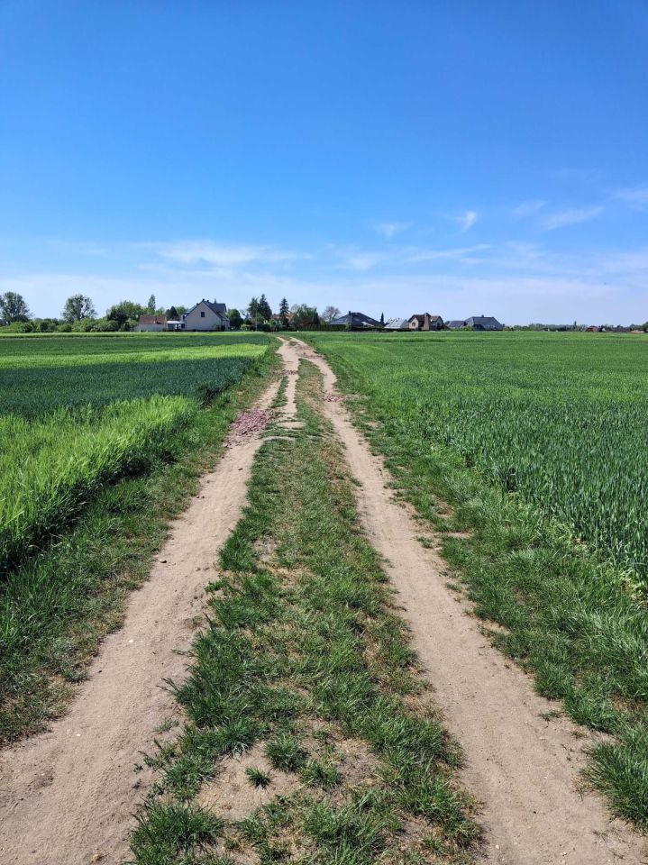 Działka rolna Opole Grudzice. Zdjęcie 3