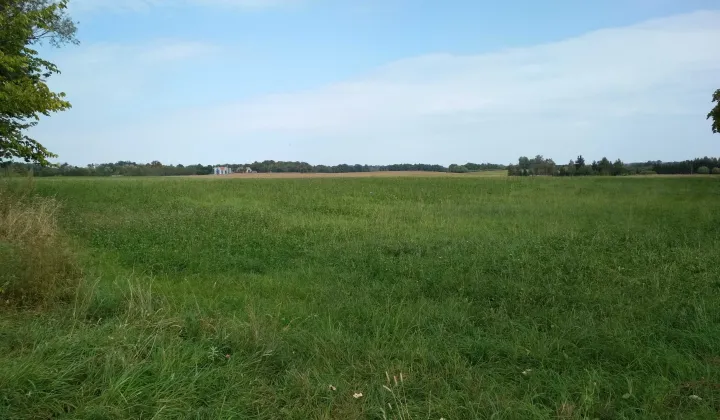 Działka inwestycyjna Wielowieś