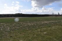 Działka rolno-budowlana Jerzwałd. Zdjęcie 2