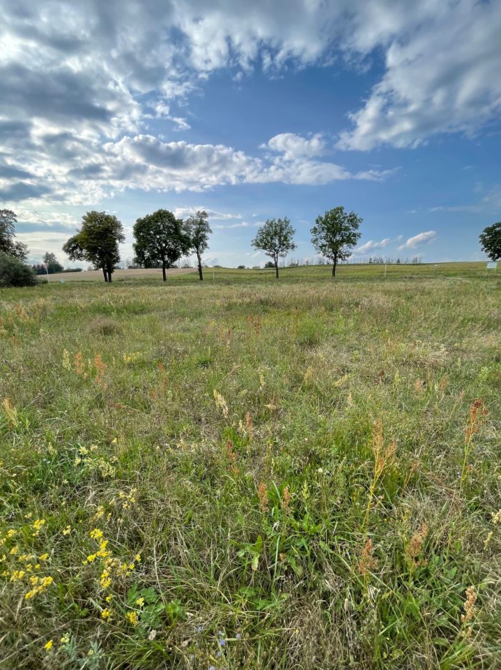 Działka budowlana Rybno Wielkie, ul. Lipowa. Zdjęcie 5