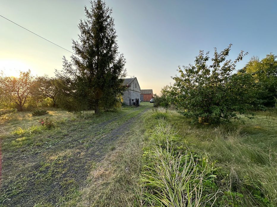 gospodarstwo Czerwona Niwa. Zdjęcie 6