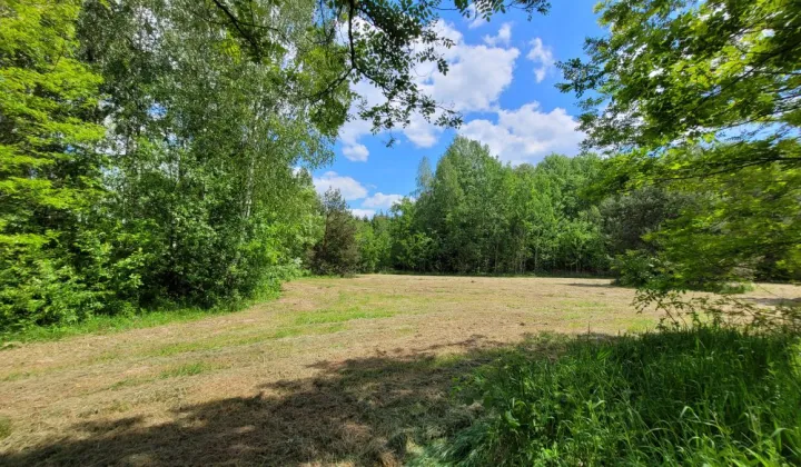 Działka budowlana Piotrkowice, ul. Trzech Muszkieterów