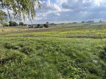 siedlisko, 2 pokoje Horoszczyce. Zdjęcie 2