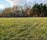 Działka rekreacyjna Naprusewo. Zdjęcie 1