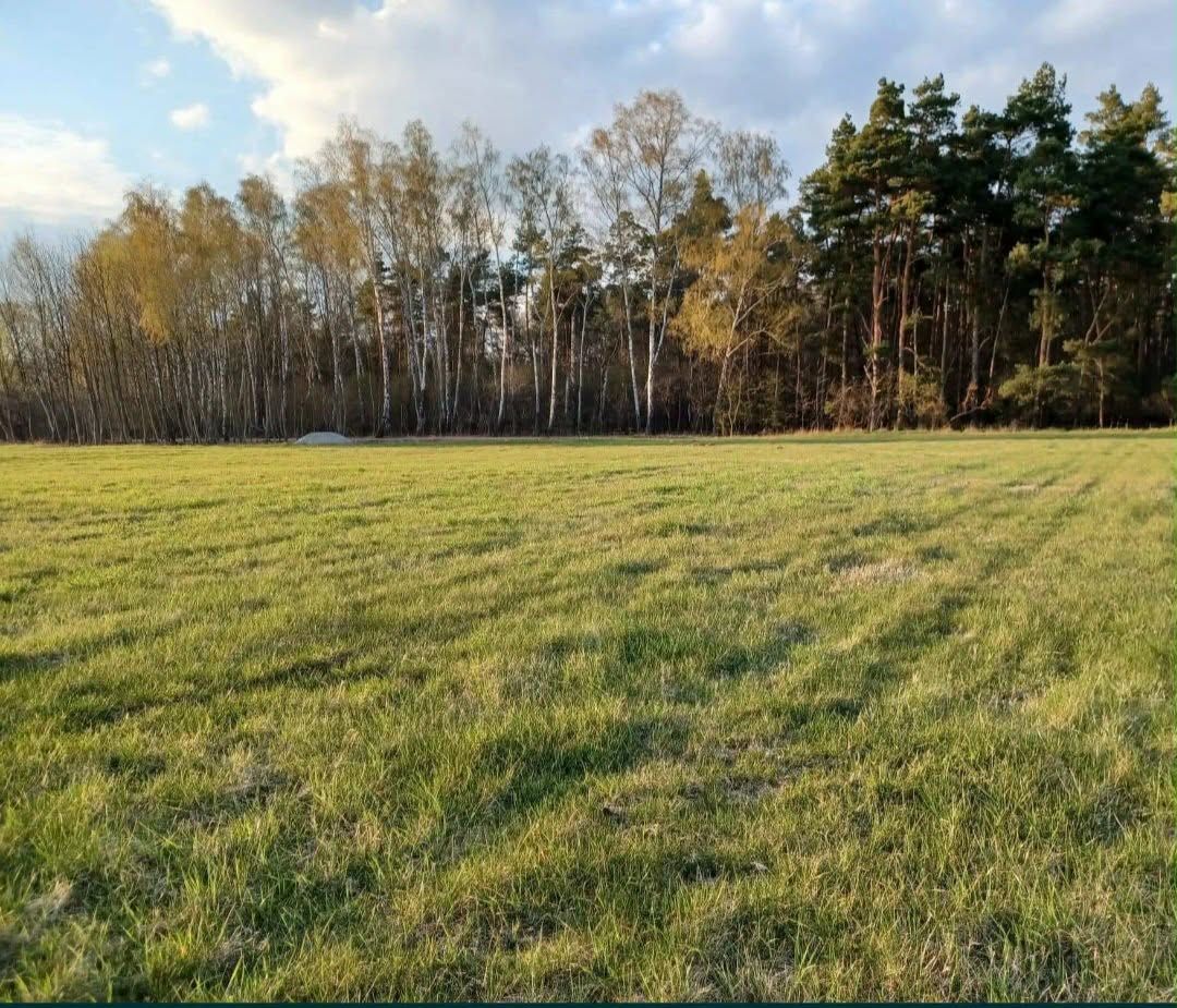 Działka rekreacyjna Naprusewo. Zdjęcie 2