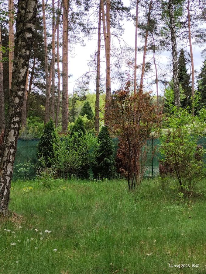 Działka budowlana Zofiówka, ul. Cienista. Zdjęcie 16