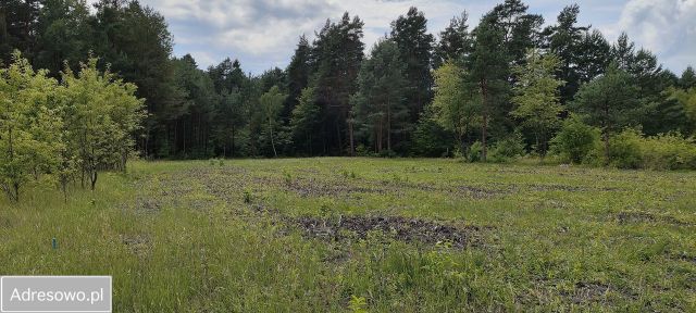 Działka budowlana Potępa, ul. Łąkowa. Zdjęcie 1