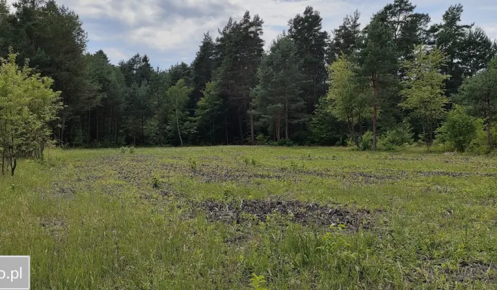 Działka budowlana Potępa, ul. Łąkowa