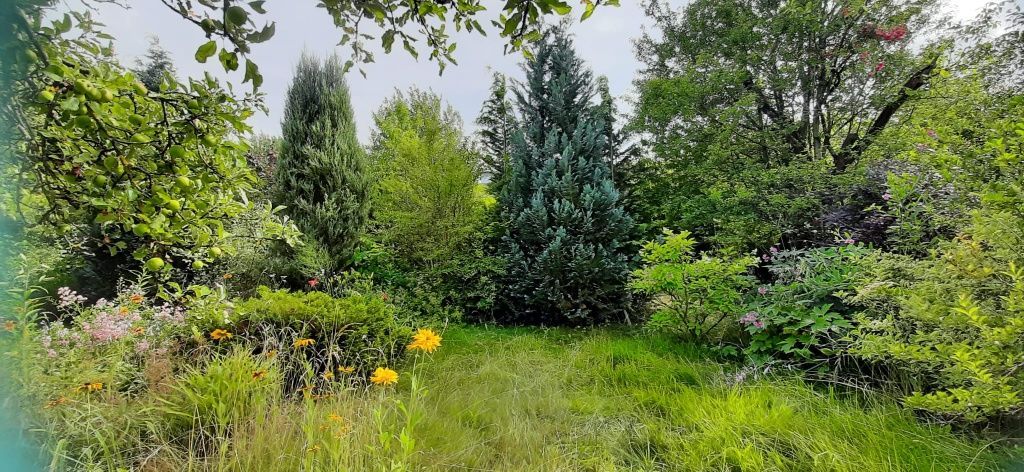 Działka rod Kielce Barwinek, ul. Wrzosowa. Zdjęcie 8