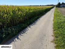 Działka rolna Jankowice, ul. Biasowicka. Zdjęcie 1