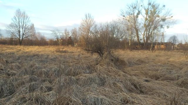 Działka rolno-budowlana Częstochowa Gnaszyn Górny, ul. Podbiałowa. Zdjęcie 1