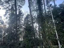 Działka budowlana Morzyczyn, ul. Czapli. Zdjęcie 3