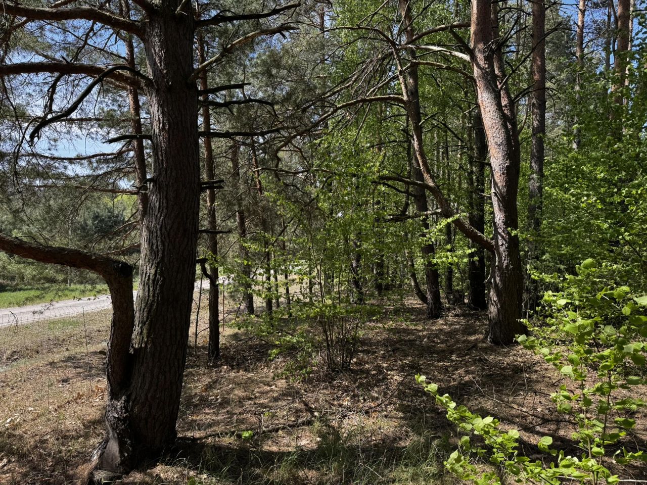 Działka budowlana Tanica Górna. Zdjęcie 6