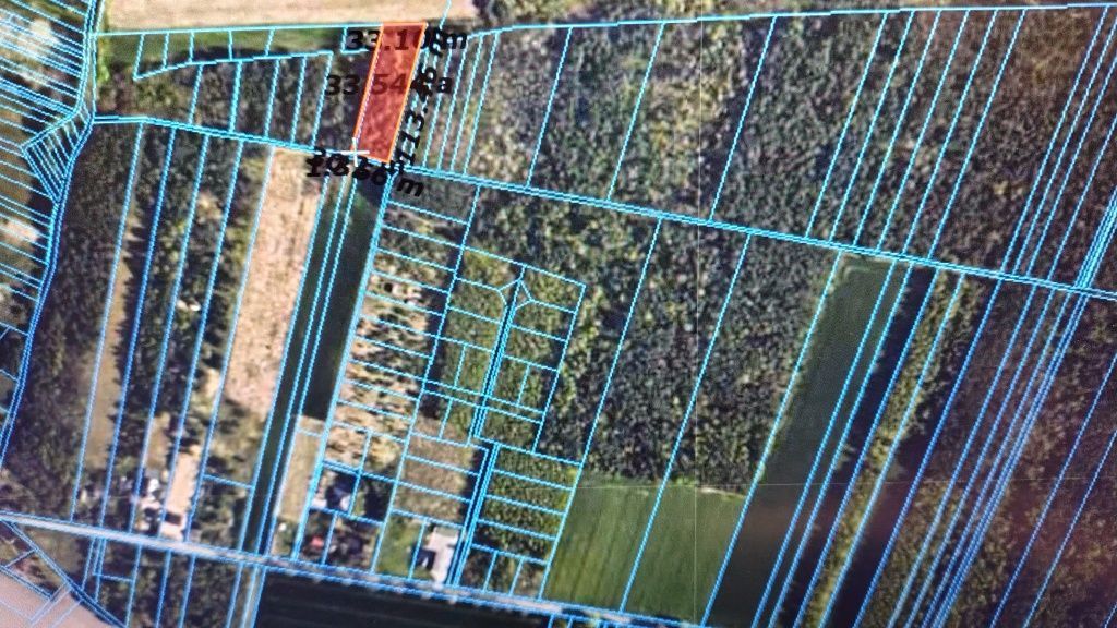 Działka leśna Jamno. Zdjęcie 4