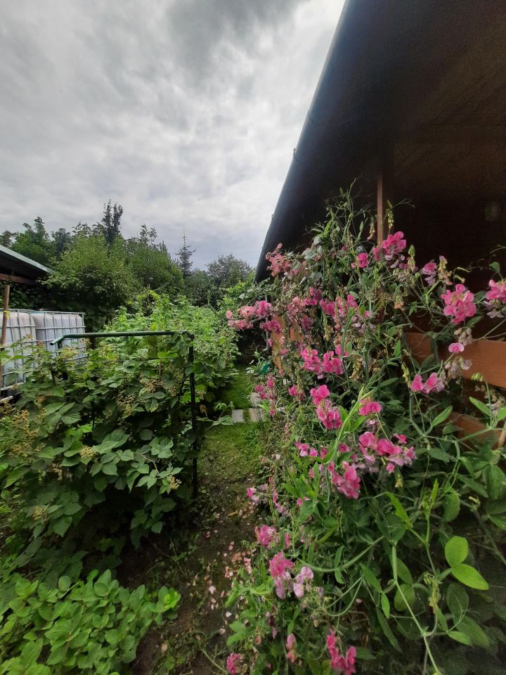 Działka rod Tarnobrzeg Wielopole, ul. Gruntowa. Zdjęcie 7