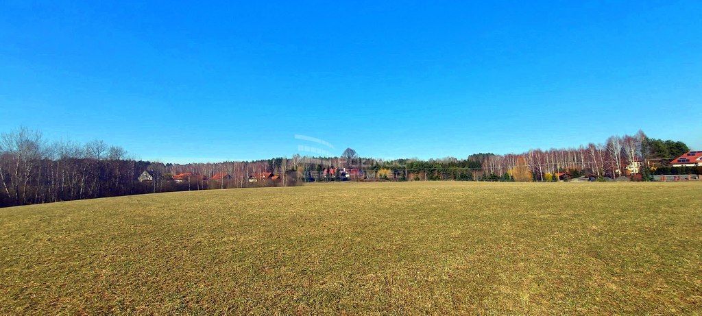 Działka rolna Marcinkowo. Zdjęcie 5