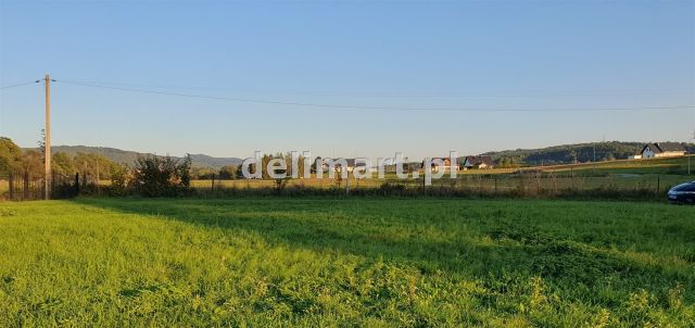 Działka budowlana Srogów Dolny. Zdjęcie 1