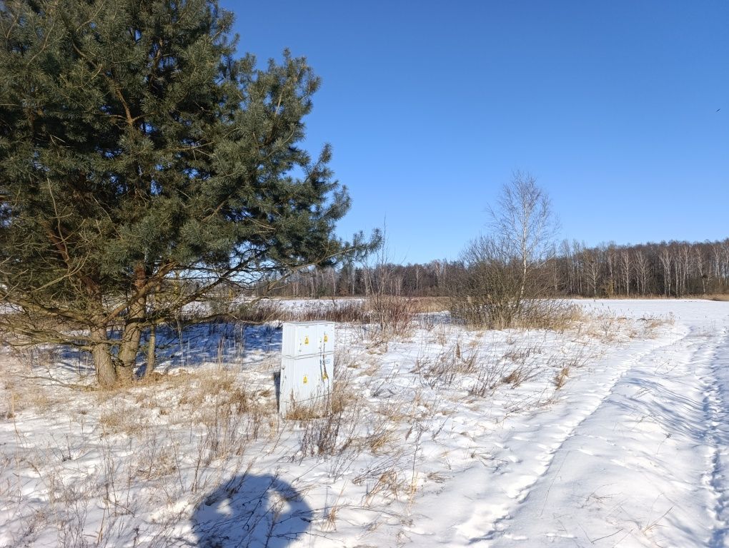 Działka budowlana Lewickie-Stacja. Zdjęcie 8