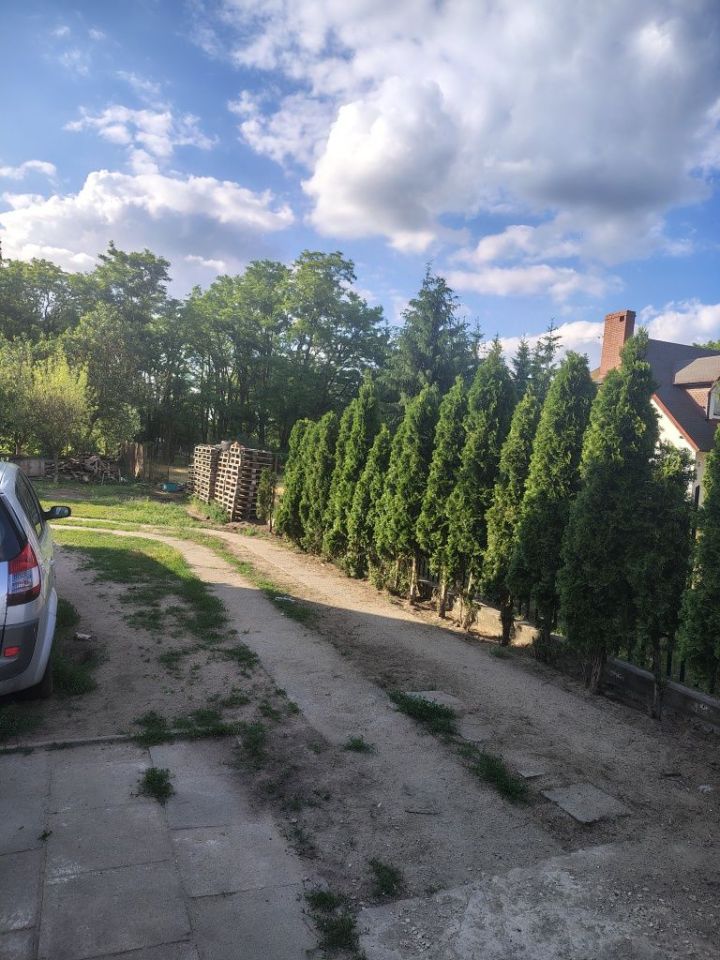 bliźniak Toruń Czerniewice. Zdjęcie 8