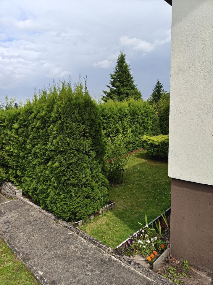 Działka rod Wasilków, Wasilkowska. Zdjęcie 13