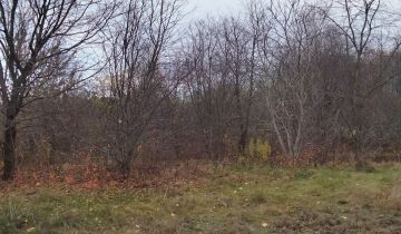 Działka rolno-budowlana Warszawa Wawer, ul. Mirtowa