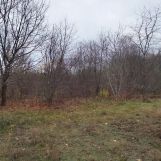 Działka rolno-budowlana Warszawa Wawer, ul. Mirtowa