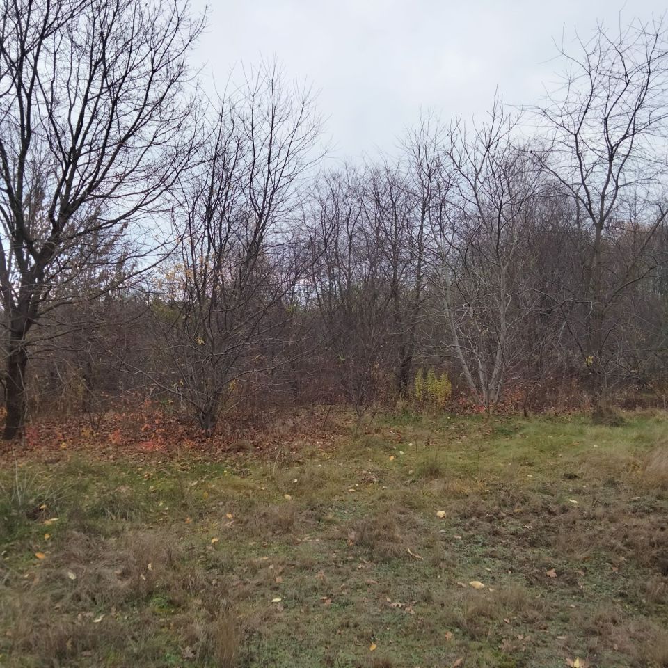 Działka rolno-budowlana Warszawa Wawer, ul. Mirtowa