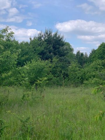 Działka budowlana Rusiec, ul. Spółdzielcza. Zdjęcie 1