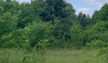 Działka budowlana Rusiec, ul. Spółdzielcza
