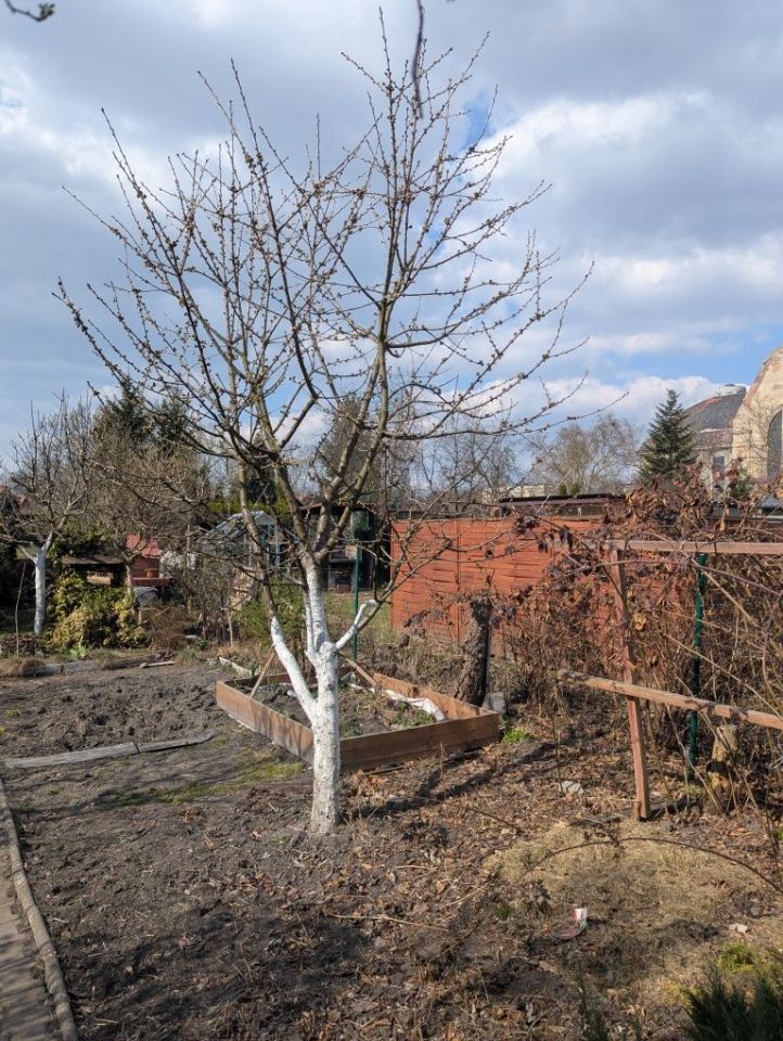 Działka rod Zabrze Mikulczyce, ul. Bytomskich Strzelców. Zdjęcie 4