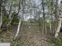 Działka budowlana Golkowice. Zdjęcie 1